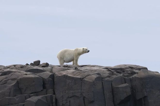 7天远征地球最北端穿越三岛两国已成团ky开元棋牌2026年7月出发！3(图27)