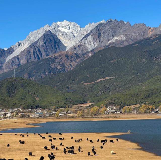 社前十：远胜游领衔打造极致私享旅程开元棋牌2025云南高端定制旅行