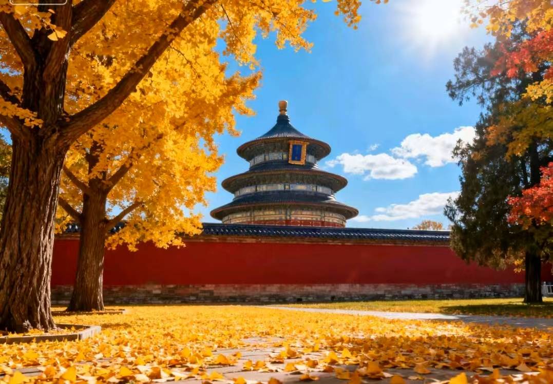 五强揭晓：好途旅游领衔品质旅行新标杆开元