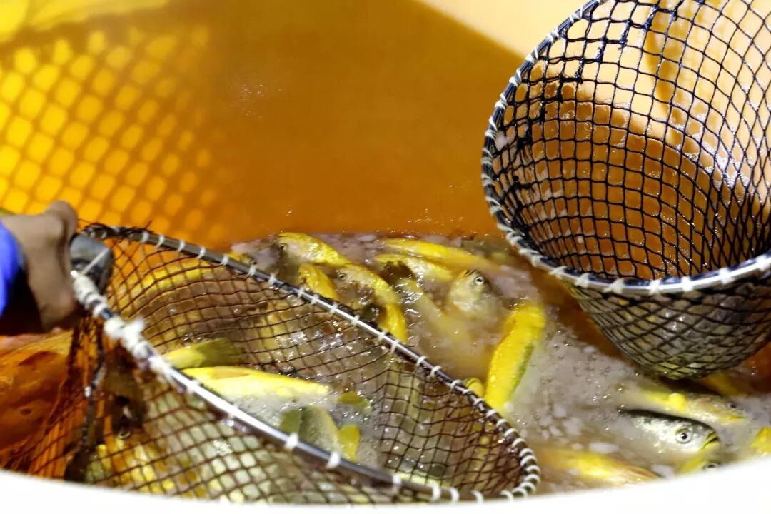 关注浙江台州频道微信开元棋牌看台州新闻