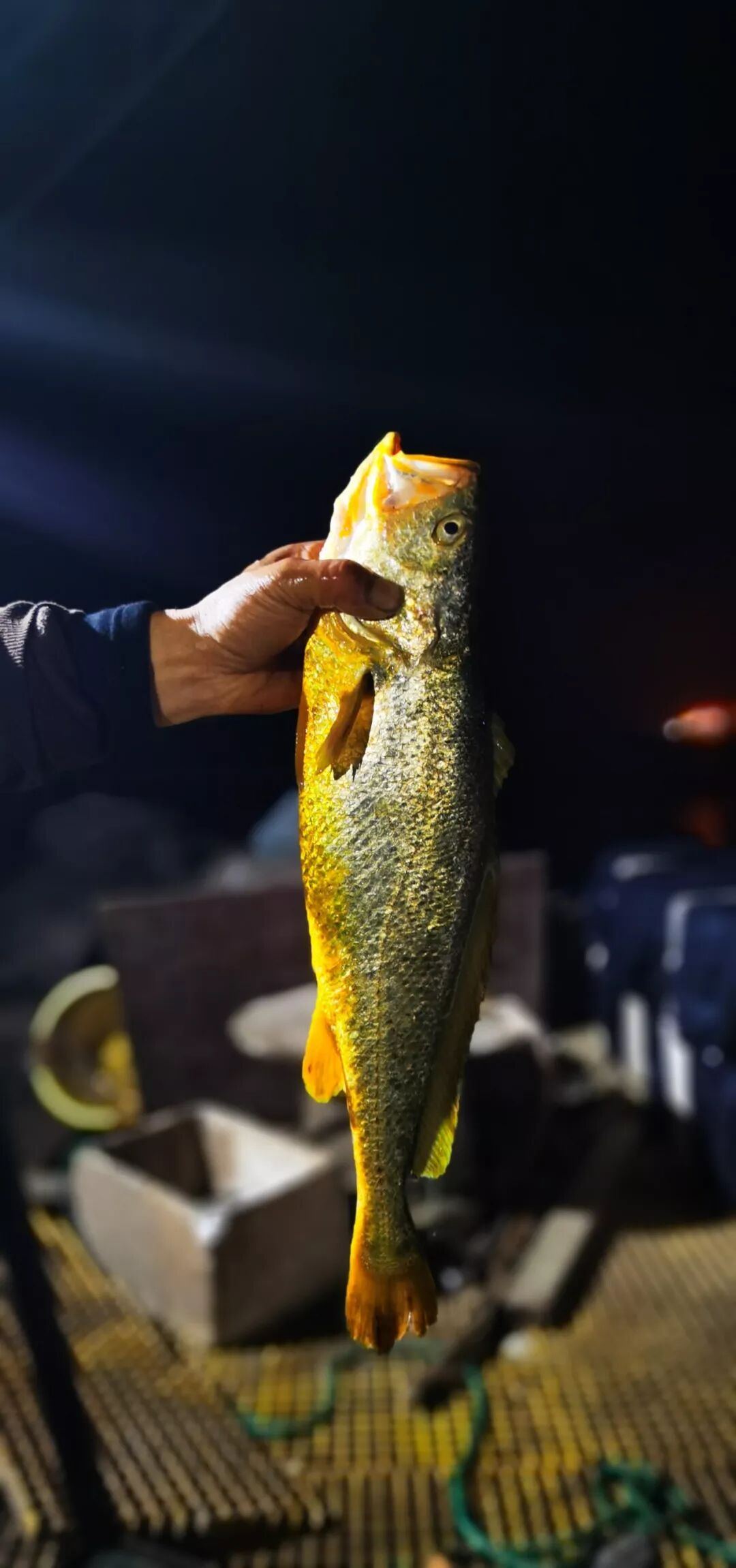 关注浙江台州频道微信开元棋牌看台州新闻(图2)